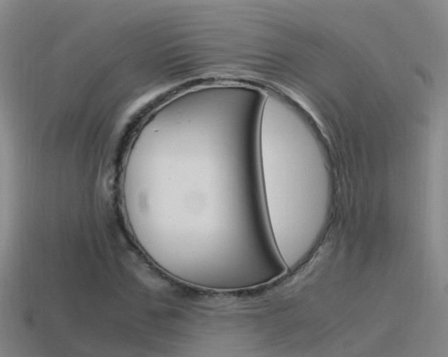 X0000115500971200911061019