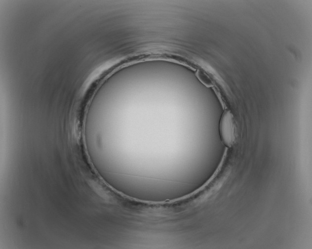 X0000115500973200911061019