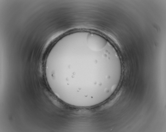 X0000115500974200911061019