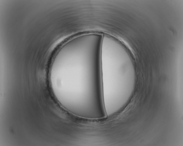 X0000115500975200911061019