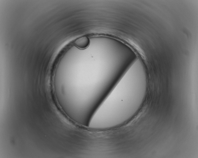 X0000115500976200911061019