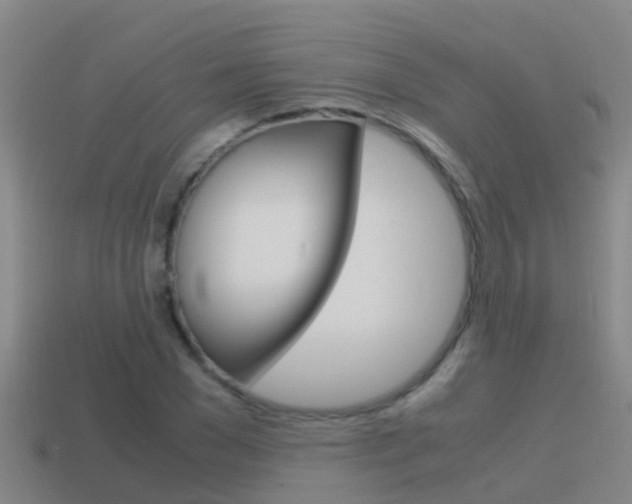 X0000115500977200911061019