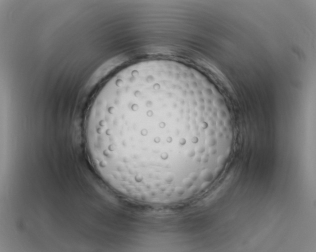 X0000115500978200911061019
