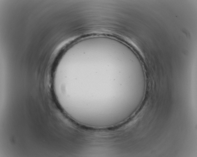 X0000115500979200911061019