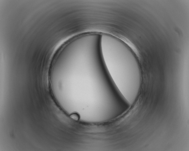 X0000115500980200911061019