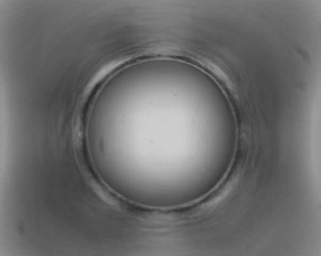 X0000115500981200911061019