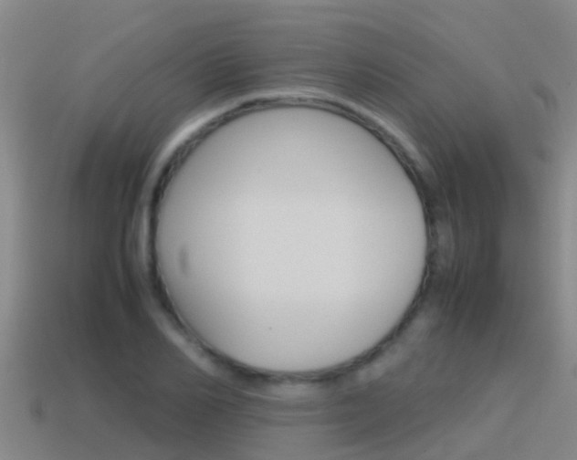 X0000115500982200911061019