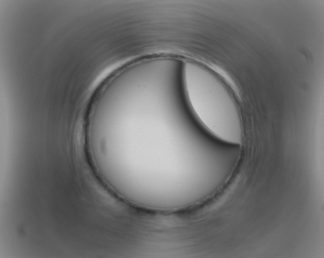 X0000115500983200911061019