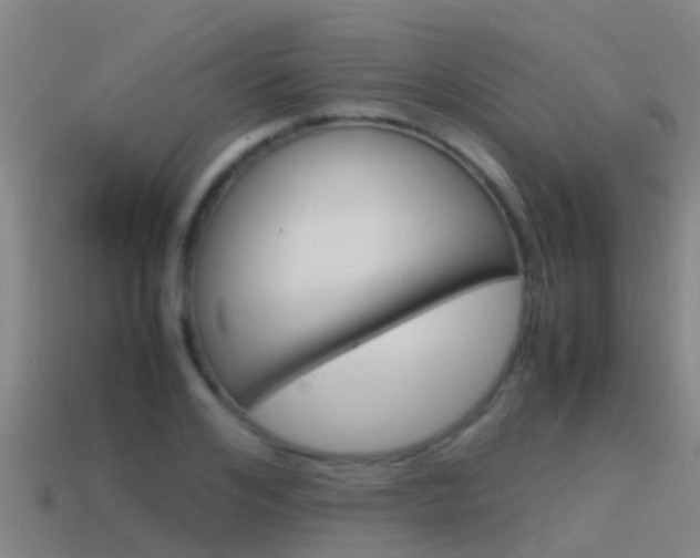 X0000115500984200911061019