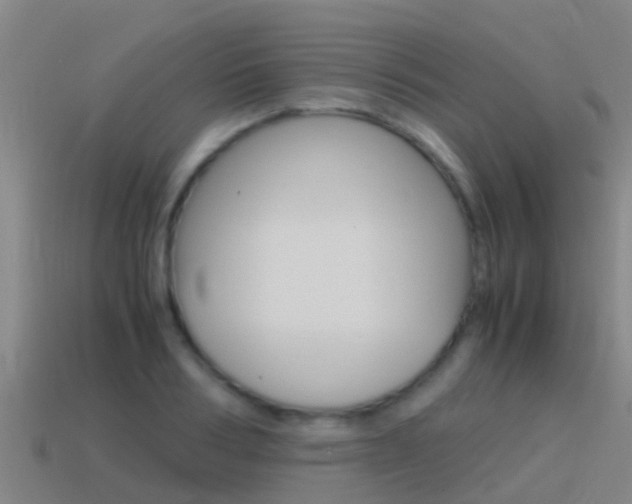 X0000115500986200911061019