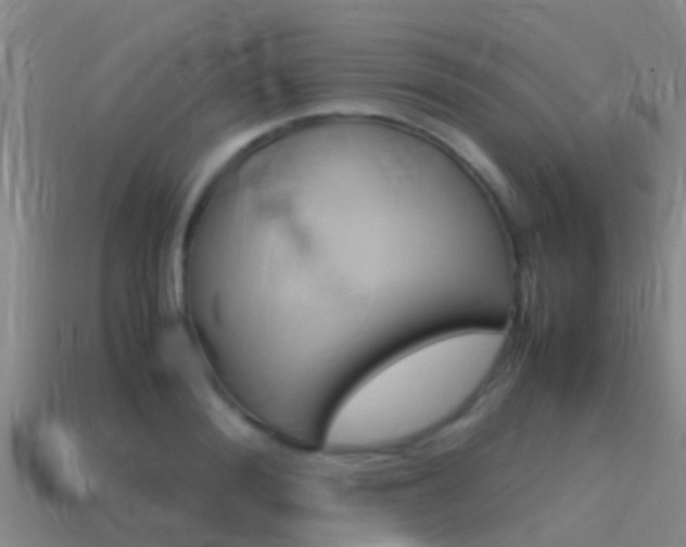X0000115500988200911061019