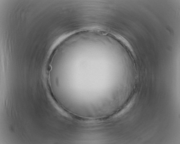 X0000115500989200911061019