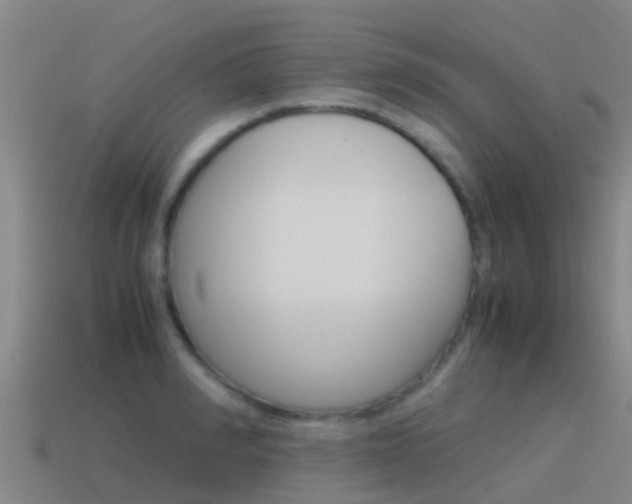 X0000115500990200911061019