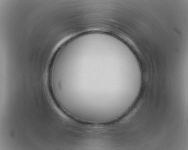 X0000115500991200911061019