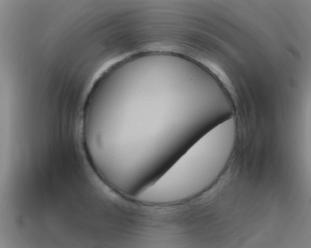 X0000115500992200911061019