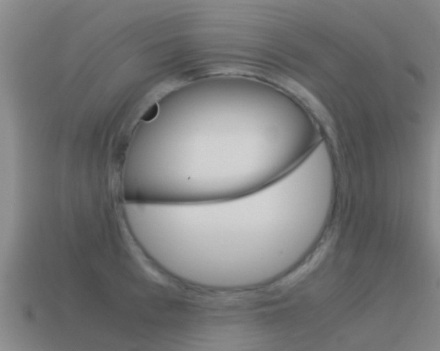 X0000115500993200911061019