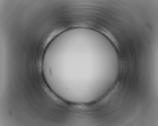 X0000115500994200911061019