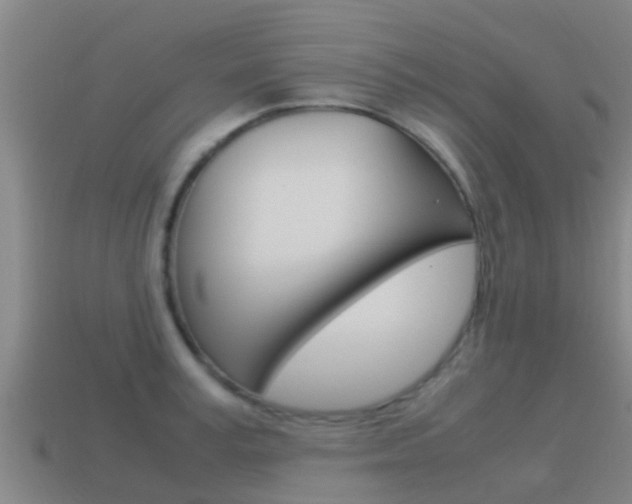 X0000115500995200911061019