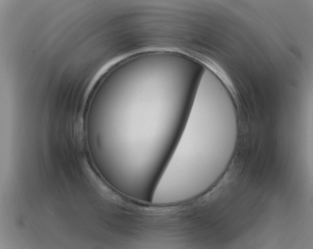 X0000115500996200911061019