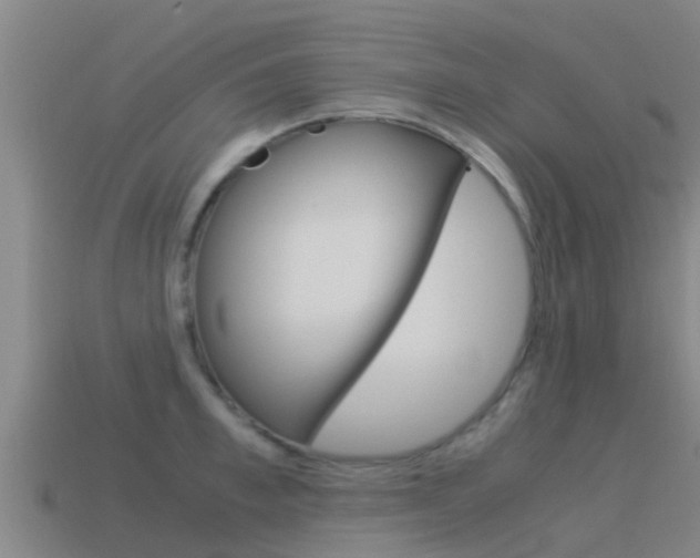 X0000115500997200911061019
