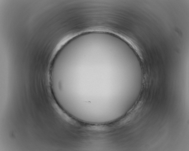 X0000115500998200911061019