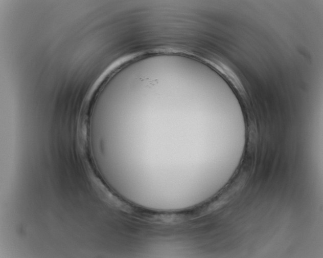 X0000115501000200911061019