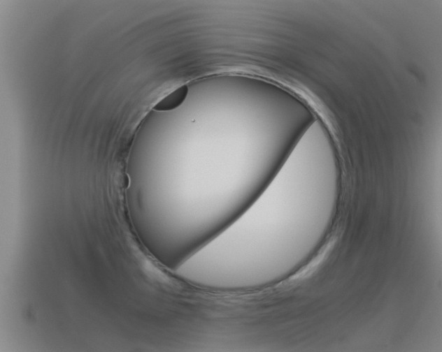 X0000115501001200911061019