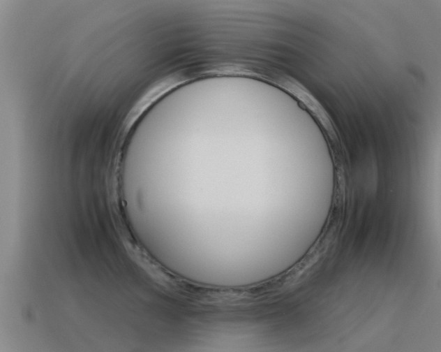 X0000115501002200911061019