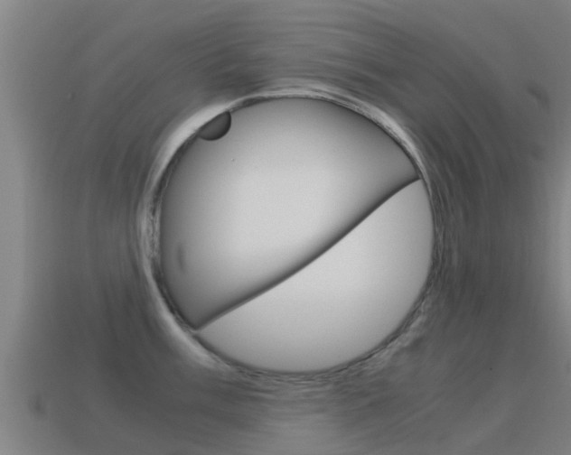 X0000115501003200911061019