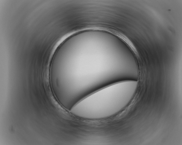 X0000115501004200911061019