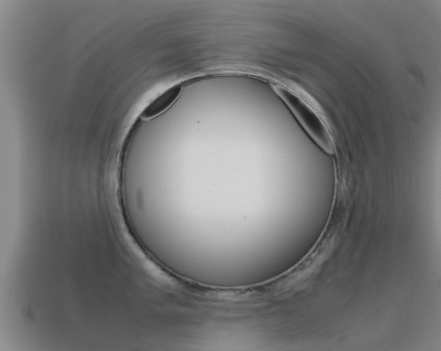 X0000115501005200911061019