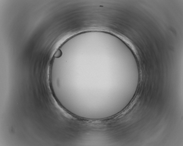X0000115501006200911061019