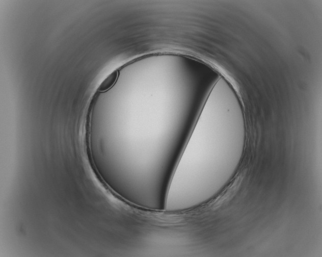 X0000115501007200911061019