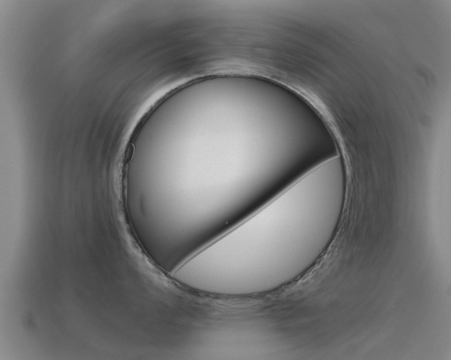 X0000115501008200911061018