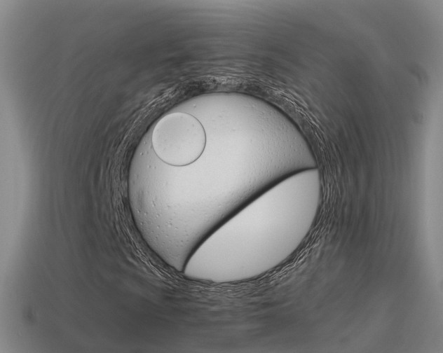 X0000115501009200911061018