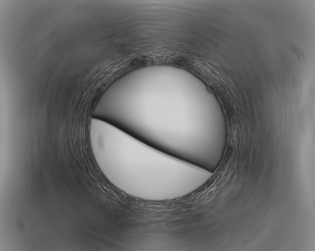 X0000115501010200911061018