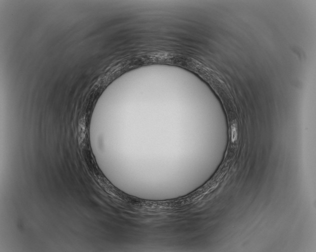 X0000115501011200911061018