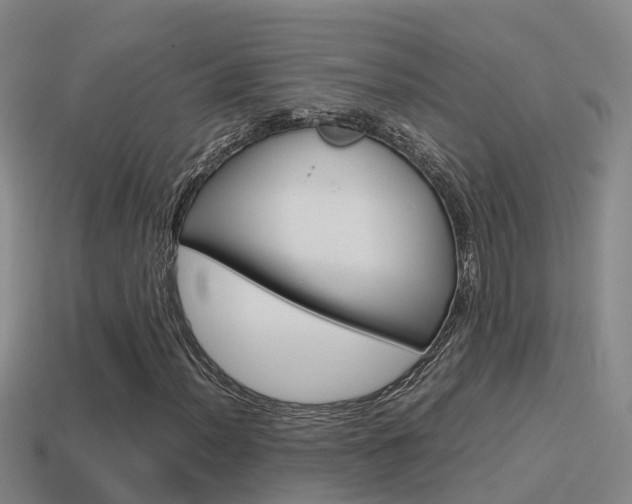 X0000115501012200911061018