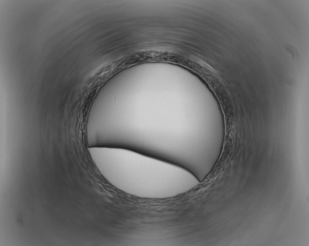 X0000115501014200911061018