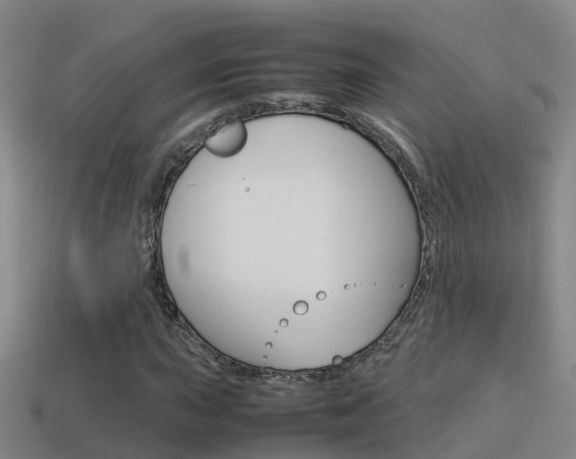 X0000115501015200911061018