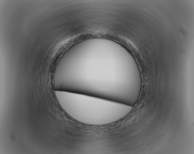 X0000115501016200911061018