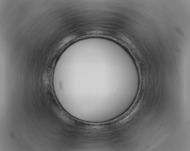X0000115501017200911061018