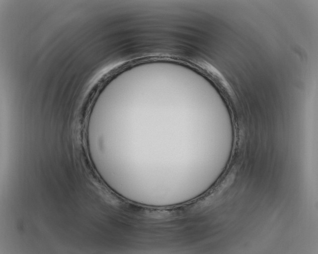 X0000115501019200911061018