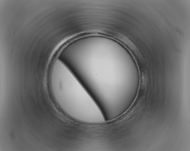 X0000115501020200911061018