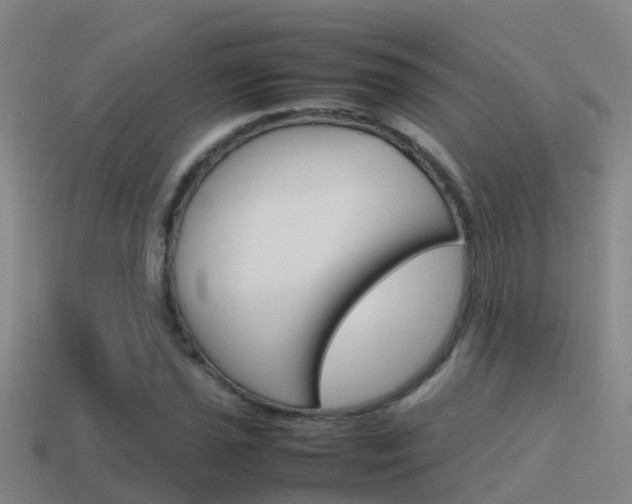 X0000115501021200911061018