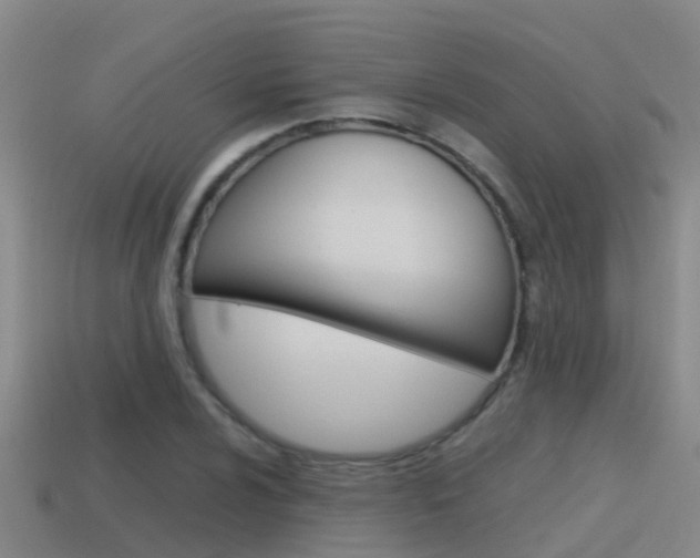 X0000115501024200911061018