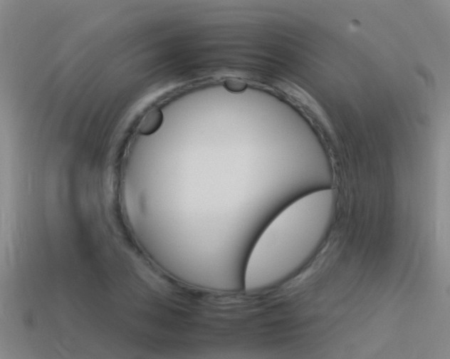 X0000115501027200911061018