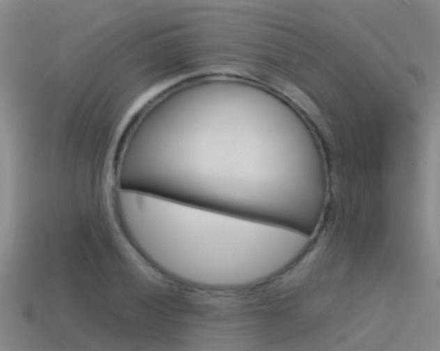 X0000115501028200911061018