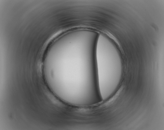 X0000115501029200911061018