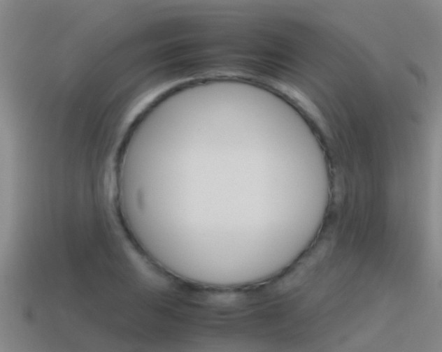 X0000115501031200911061018